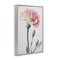 Stupell Industries Pale Carnation Budding Framed Giclee Wall Art Design by Incado